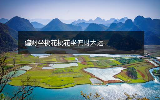 偏財(cái)坐桃花桃花坐偏財(cái)大運(yùn)