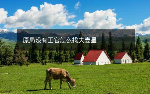 原局沒有正官怎么找夫妻星