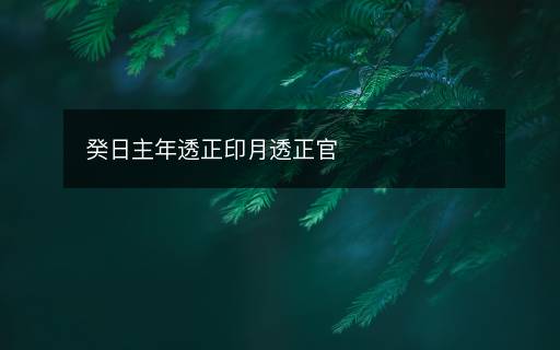 癸日主年透正印月透正官