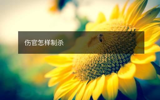 傷官怎樣制殺