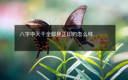 八字中天干全部是正印的怎么樣