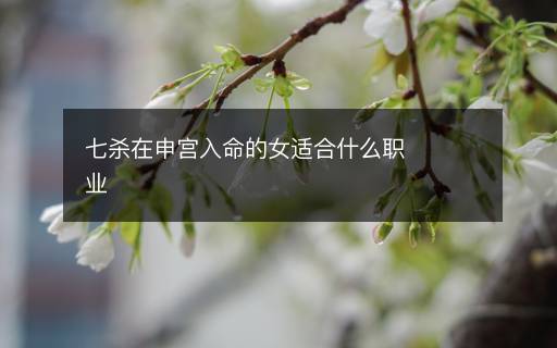 七殺在申宮入命的女適合什么職業(yè)