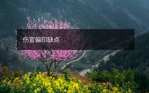 傷官偏印缺點