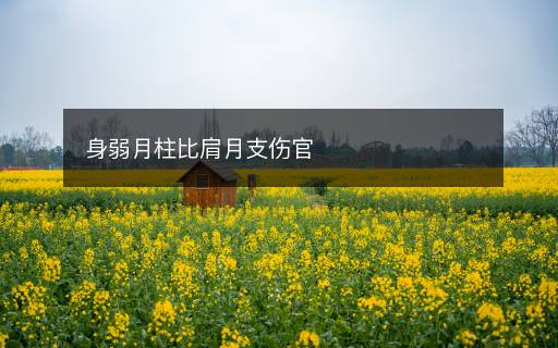 身弱月柱比肩月支傷官