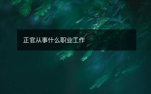 正官從事什么職業(yè)工作