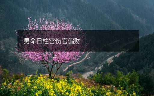 男命日柱宮傷官偏財