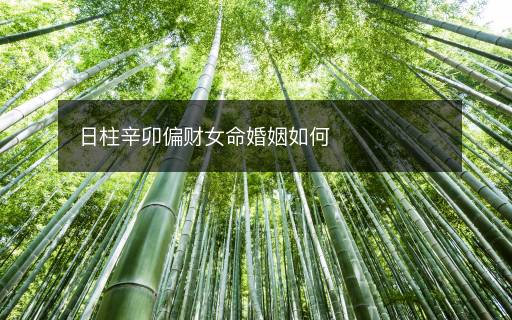 日柱辛卯偏財(cái)女命婚姻如何
