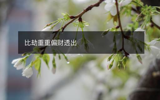 比劫重重偏財透出