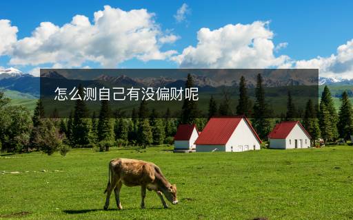 怎么測自己有沒偏財呢