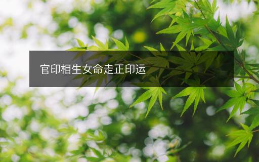官印相生女命走正印運(yùn)