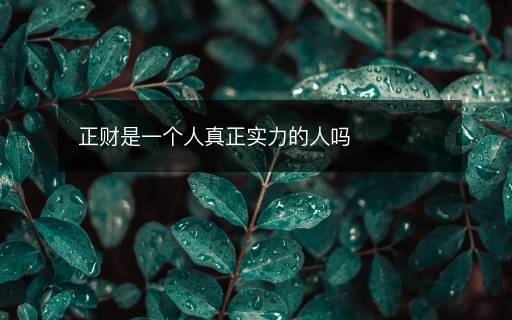 正財是一個人真正實力的人嗎