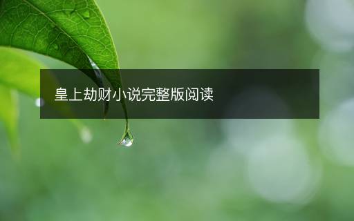 皇上劫財(cái)小說(shuō)完整版閱讀