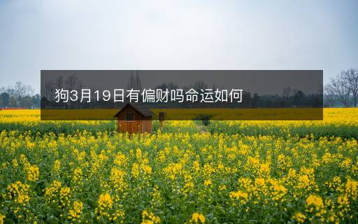 狗3月19日有偏財嗎命運如何