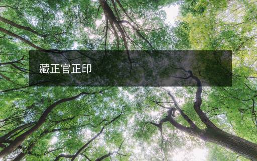 藏正官正印