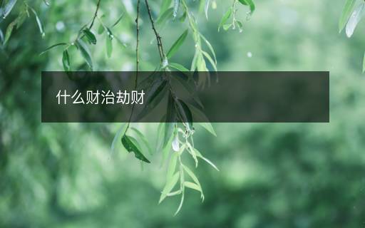 什么財(cái)治劫財(cái)