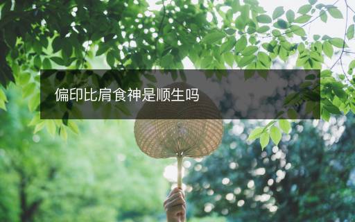 偏印比肩食神是順生嗎