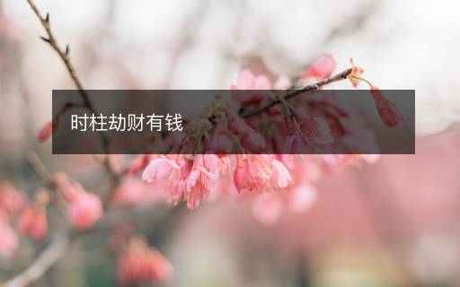 時柱劫財有錢