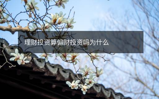 理財(cái)投資算偏財(cái)投資嗎為什么
