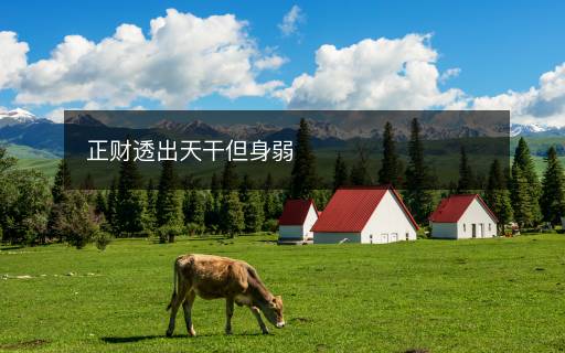 正財(cái)透出天干但身弱