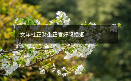 女年柱正財(cái)坐正官好嗎婚姻