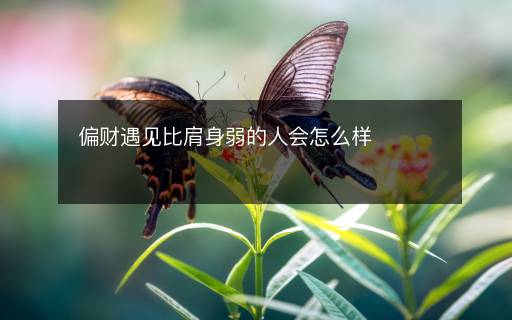 偏財遇見比肩身弱的人會怎么樣