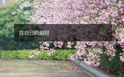 找自己的偏財(cái)