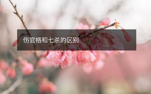 傷官格和七殺的區(qū)別