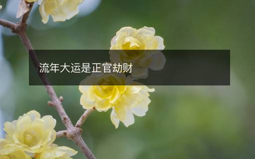 流年大運(yùn)是正官劫財(cái)