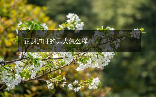 正財過旺的男人怎么樣