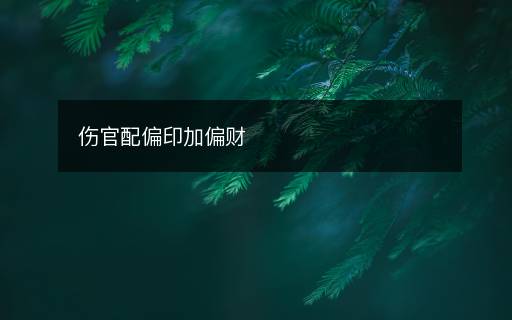 傷官配偏印加偏財
