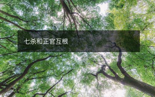 七殺和正官互根