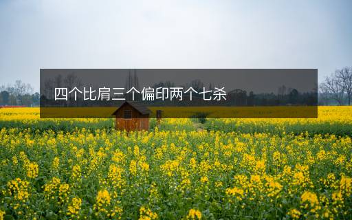 四個比肩三個偏印兩個七殺