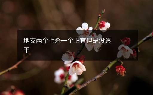 地支兩個(gè)七殺一個(gè)正官但是沒透干
