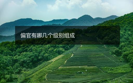 偏官有哪幾個級別組成