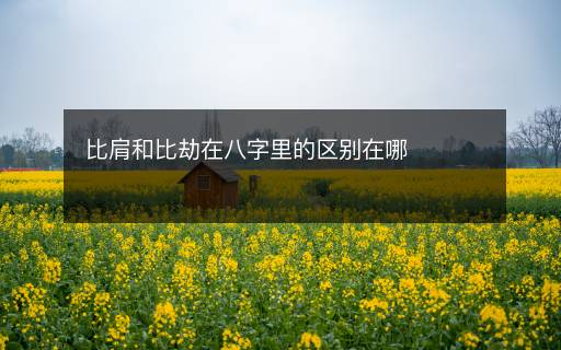 比肩和比劫在八字里的區(qū)別在哪