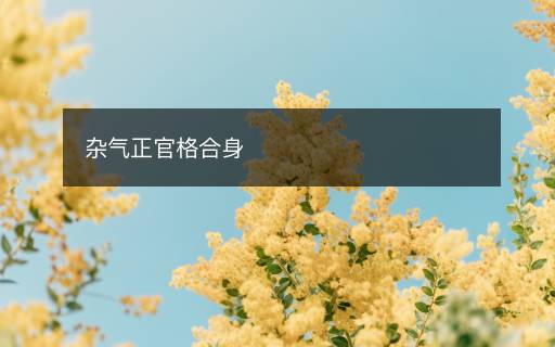 雜氣正官格合身