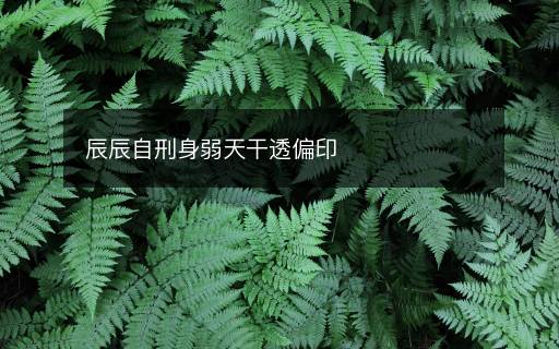 辰辰自刑身弱天干透偏印