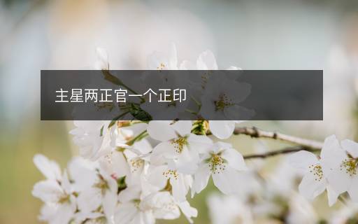 主星兩正官一個(gè)正印