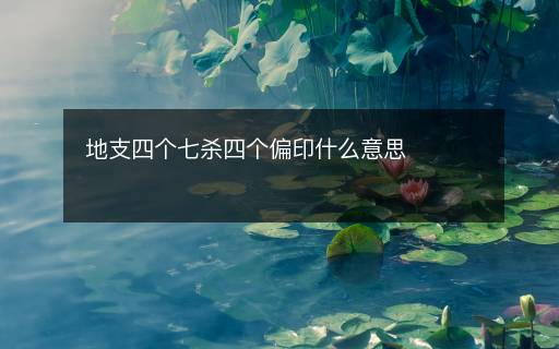 地支四個(gè)七殺四個(gè)偏印什么意思