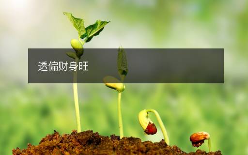 透偏財(cái)身旺