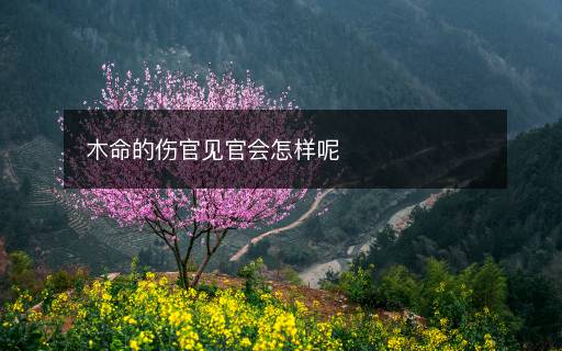 木命的傷官見官會怎樣呢