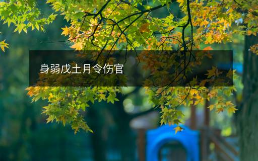 身弱戊土月令傷官