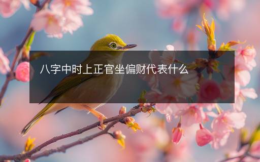 八字中時(shí)上正官坐偏財(cái)代表什么