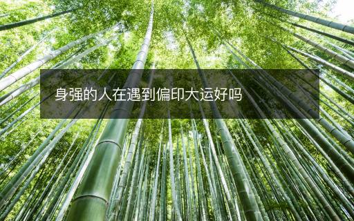 身強(qiáng)的人在遇到偏印大運(yùn)好嗎