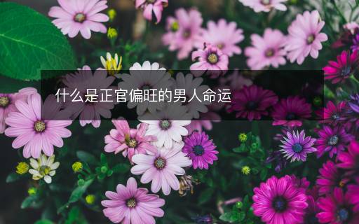 什么是正官偏旺的男人命運(yùn)