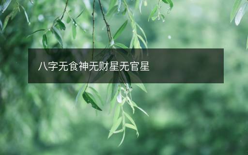 八字無食神無財星無官星
