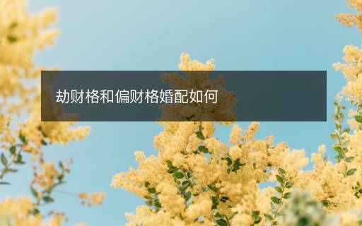 劫財格和偏財格婚配如何