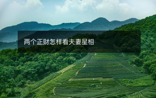 兩個正財怎樣看夫妻星相