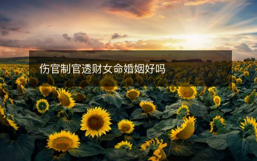 傷官制官透財女命婚姻好嗎