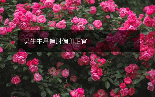 男生主星偏財(cái)偏印正官